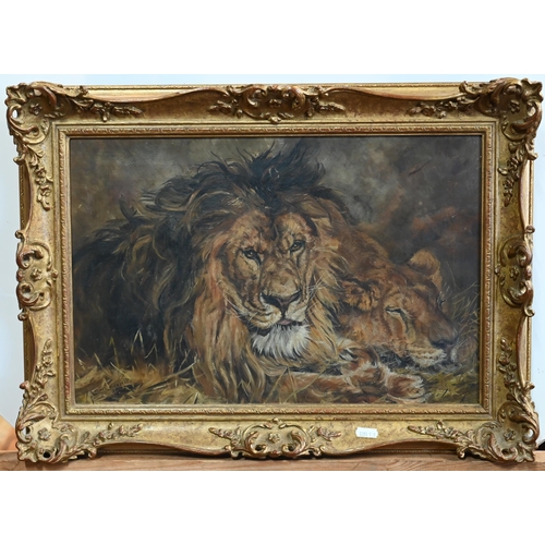 643 - Ethel Nicholas after Landseer - A lion and lioness, oil on canvas, signed lower left and dated 1908?... 
