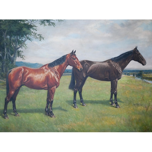 653 - Harris - Study of two chestnut hunters in a field, oil on canvas, signed lower right, 75 x 100 cm