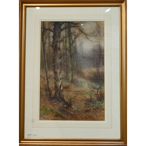 668 - Thomas Taylor-Ireland (1880-1927) - A pair of autumnal woodland views, watercolour, signed, 50 x 32 ... 