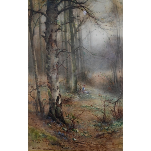 668 - Thomas Taylor-Ireland (1880-1927) - A pair of autumnal woodland views, watercolour, signed, 50 x 32 ... 