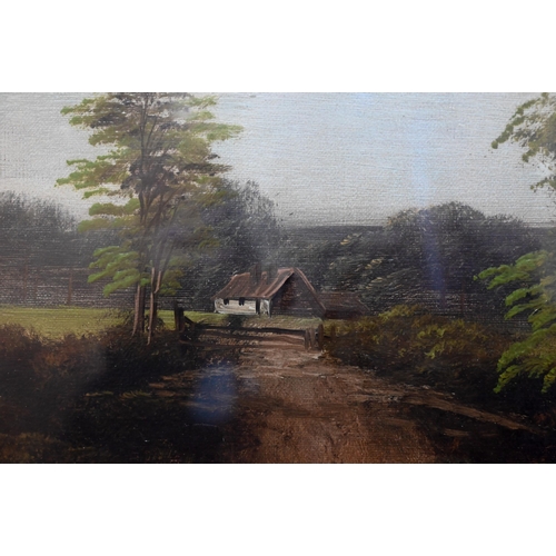 684 - W Haines - Pastoral view, oil on canvas, signed lower left, 38 x 59 cm