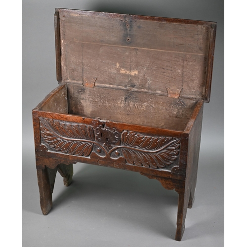 807 - A diminutive 17th century boarded oak and elm chest, the hinged top over a carved palm leaf design, ... 