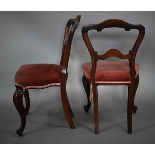 869 - A pair of Victorian rosewood open balloon backed side chairs, the overstuffed serpentine seats raise... 