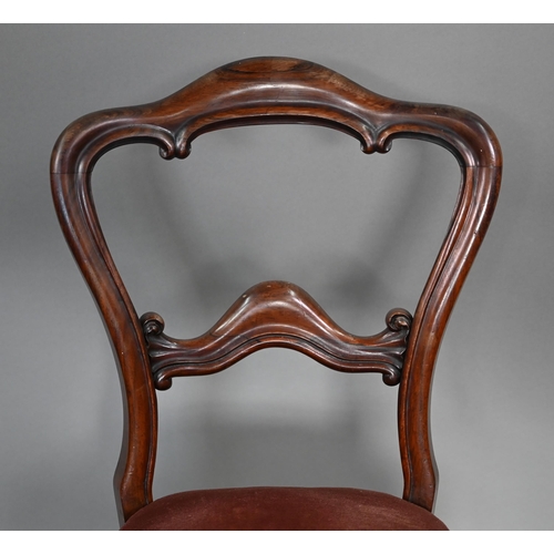 869 - A pair of Victorian rosewood open balloon backed side chairs, the overstuffed serpentine seats raise... 