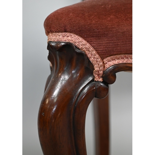 869 - A pair of Victorian rosewood open balloon backed side chairs, the overstuffed serpentine seats raise... 