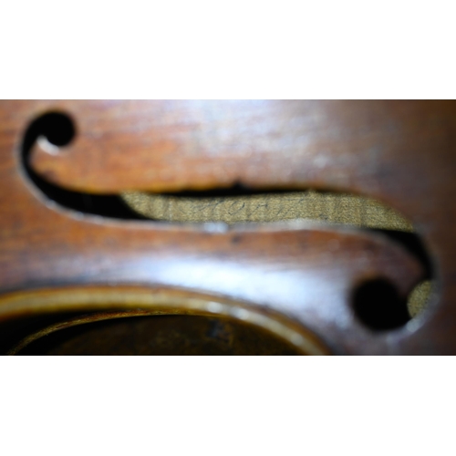 978 - An antique violin with 36 cm two-piece flame back, ascribed in accompanying 1938 letter as a 'genuin... 