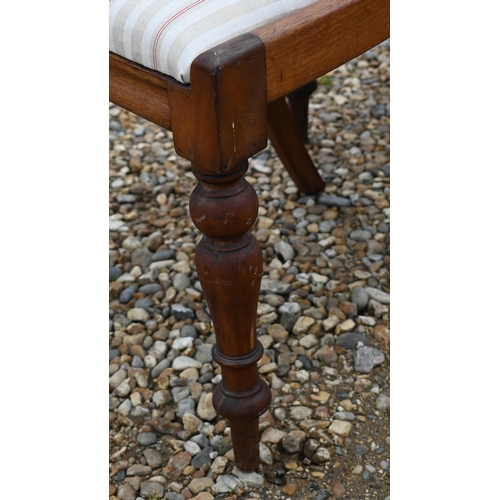 157 - A pair of Victorian mahogany balloon back dining chairs with turned front legs (2)