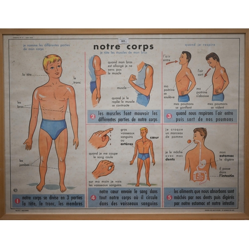 303 - Three French anatomical educational posters - Notre Corps, Les Accidents and Le Coquelicot, 66 x 89 ... 