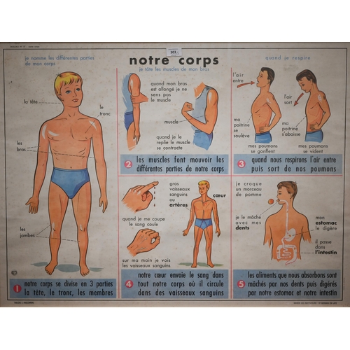 303 - Three French anatomical educational posters - Notre Corps, Les Accidents and Le Coquelicot, 66 x 89 ... 