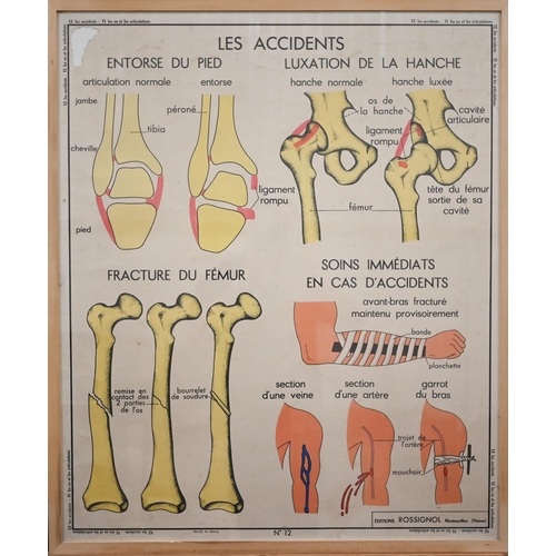 303 - Three French anatomical educational posters - Notre Corps, Les Accidents and Le Coquelicot, 66 x 89 ... 