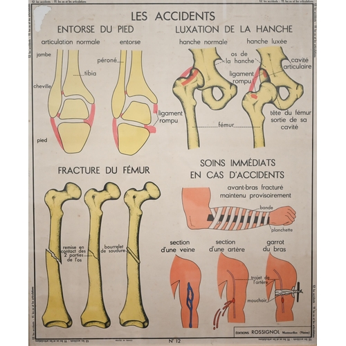 303 - Three French anatomical educational posters - Notre Corps, Les Accidents and Le Coquelicot, 66 x 89 ... 