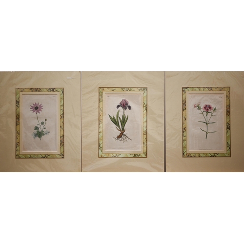 332 - Two Chinese embroidered panels, map engraving, botanical prints, loose watercolours, prints etc and ... 