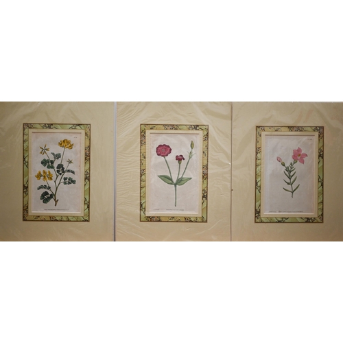 332 - Two Chinese embroidered panels, map engraving, botanical prints, loose watercolours, prints etc and ... 