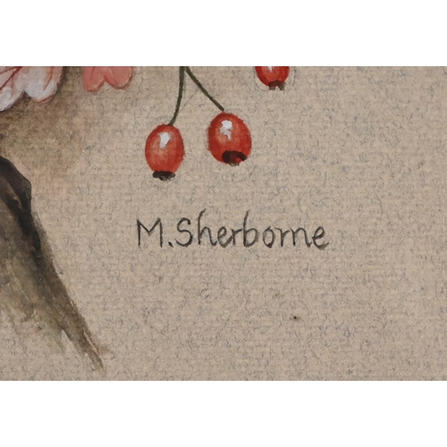 339 - M Sherborne - Three watercolour bird studies, Pheasant, Mallard and Woodpecker, signed, 41 x 31 cm t... 