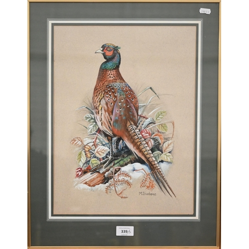 339 - M Sherborne - Three watercolour bird studies, Pheasant, Mallard and Woodpecker, signed, 41 x 31 cm t... 