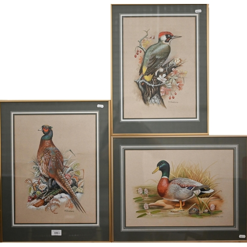 339 - M Sherborne - Three watercolour bird studies, Pheasant, Mallard and Woodpecker, signed, 41 x 31 cm t... 