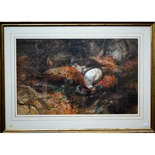 360 - Thomas Sutcliffe (1828-1871) - Dead game birds in undergrowth, watercolour, signed lower right, 44 x... 