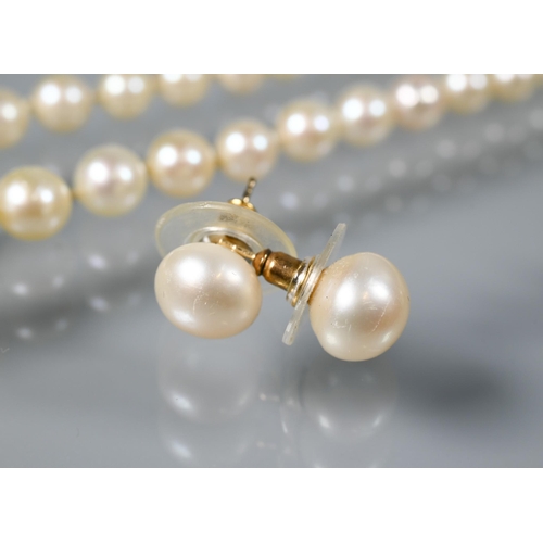 386 - A graduated cultured pearl short neckace double knotted throughout onto concealed pearl clasps, two ... 