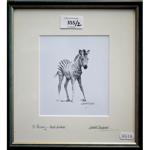 355 - A print of a zebra foal, pencil signed and inscribed by David Shepherd, 13.5 x 12 cm to/w T S Day - ... 