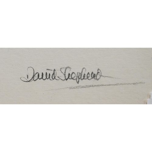 355 - A print of a zebra foal, pencil signed and inscribed by David Shepherd, 13.5 x 12 cm to/w T S Day - ... 