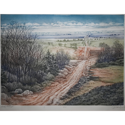 376 - # 'Brady's Crossing II' a limted edition colour etching numbered 31/225, pencil signed, 44 x 60 cm