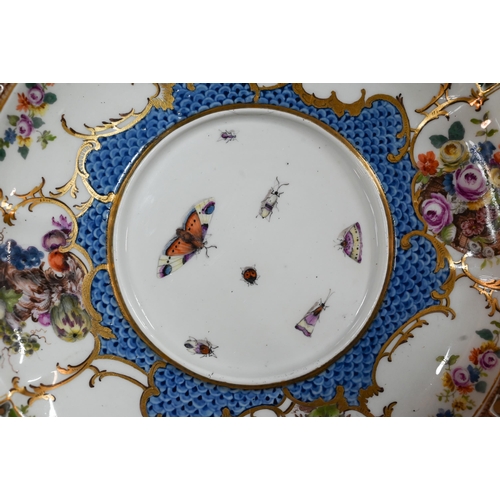 5 - A Meissen cabinet plate painted with birds, insects and other motifs with floral-pierced rim, 21.5 c... 