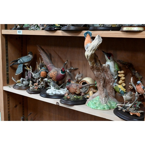 87 - A large quantity of resin bird ornaments (36 approx)