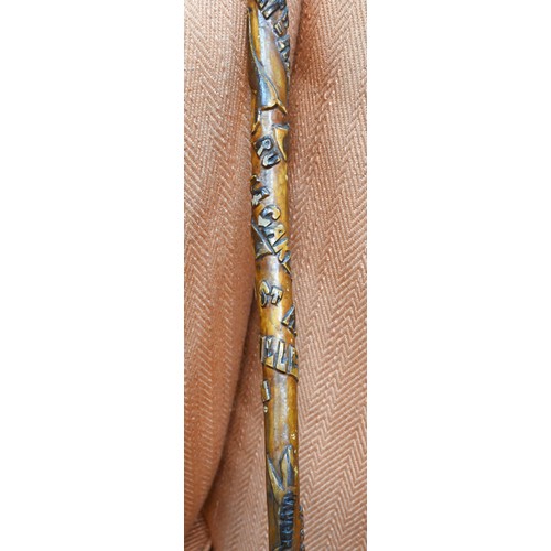 413 - An antique Welsh walking stick, the handle as a dogs head and radially carved in relief 'Whose Matth... 