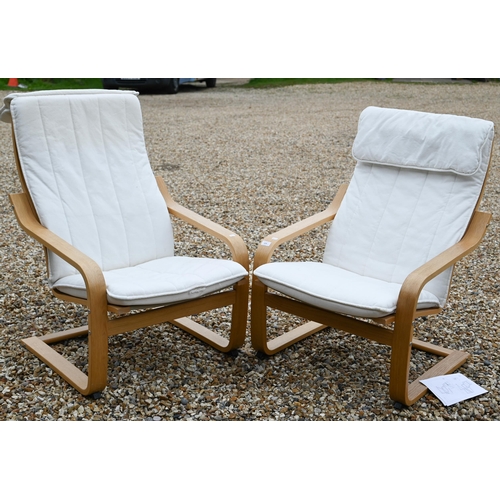 125 - A pair of Ikea 'Poang' light oak finish open armchairs, white cushions plus two extra red cushions