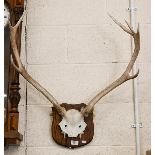 141 - A pair of deer antlers and skull mounted on stained oak shield plaque