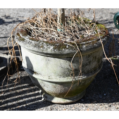 18 - Two well-established olive trees in weathered reconstituted cast stone planters, approx 200 cm high ... 