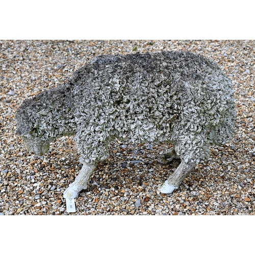 203 - A contemporary composite sculpture of a grazing sheep, 38 cm h