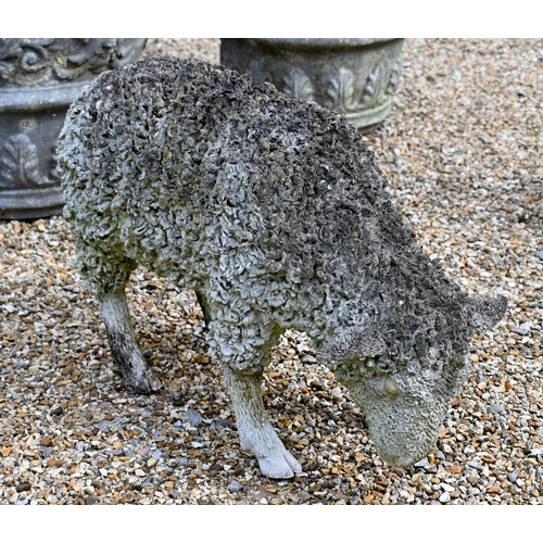 203 - A contemporary composite sculpture of a grazing sheep, 38 cm h