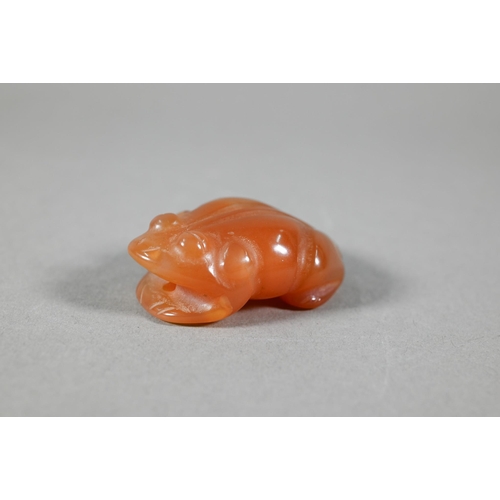 376 - A polished carnelian agate large pendant, 5.5 cm to/w a carved agate frog, 5.5 cm, a jadeite Buddha ... 