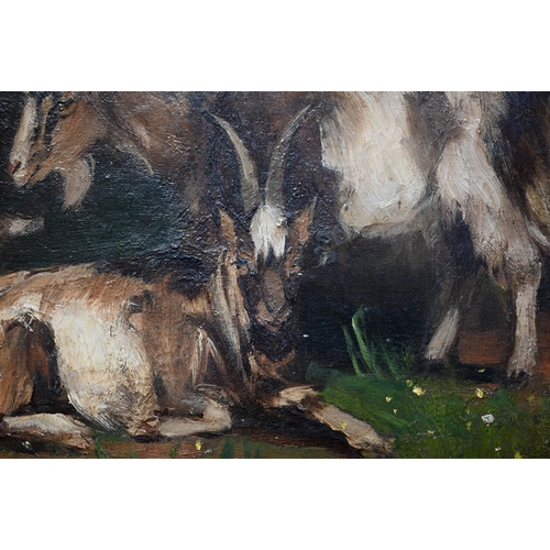 551 - Elizabeth Thompson (1830-1943) attrib - Study of mountain goats, indistinctly signed lower right, 31... 