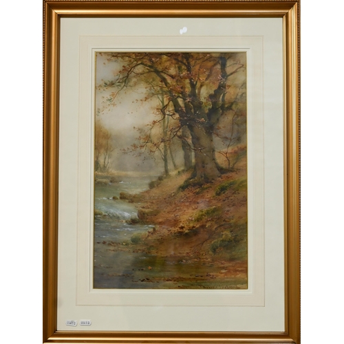 513 - Thomas Taylor-Ireland (1880-1927) - A pair of autumnal woodland views, watercolour, signed, 50 x 32 ... 