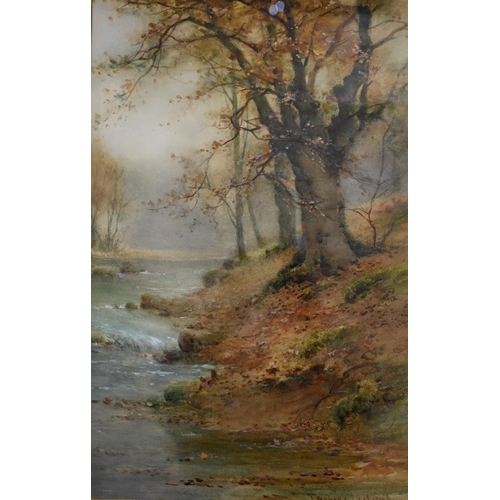 513 - Thomas Taylor-Ireland (1880-1927) - A pair of autumnal woodland views, watercolour, signed, 50 x 32 ... 