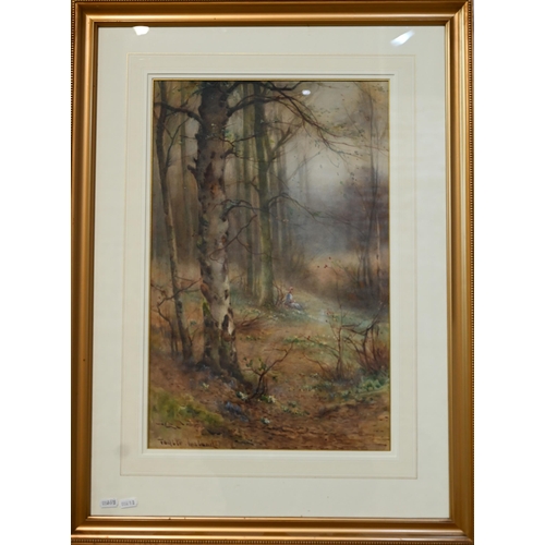 513 - Thomas Taylor-Ireland (1880-1927) - A pair of autumnal woodland views, watercolour, signed, 50 x 32 ... 