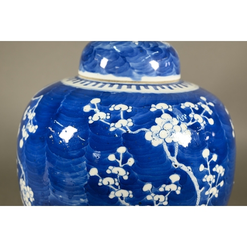 352 - A large 19th century Chinese blue and white ginger jar wand domed cover decorated with prunus on cra... 