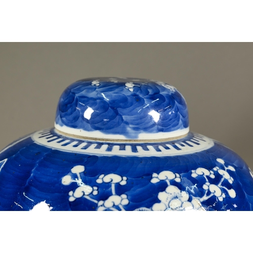 352 - A large 19th century Chinese blue and white ginger jar wand domed cover decorated with prunus on cra... 