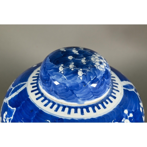 352 - A large 19th century Chinese blue and white ginger jar wand domed cover decorated with prunus on cra... 