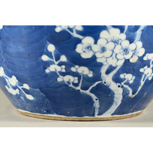 352 - A large 19th century Chinese blue and white ginger jar wand domed cover decorated with prunus on cra... 