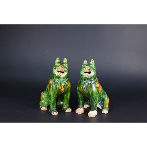 369 - A pair of Chinese Tang style sancai glazed earthenware seated dogs, 19 cm high to/w a pair of Buddhi... 