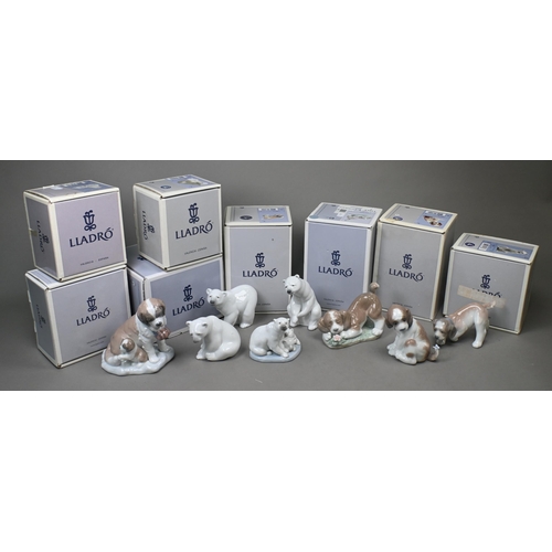 443 - Four boxed Lladro polar bears 1207, 1208, 1209 and 5434, to/w four dogs 6210, 6212, 6832 and 8170 (8... 