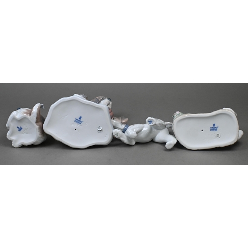 443 - Four boxed Lladro polar bears 1207, 1208, 1209 and 5434, to/w four dogs 6210, 6212, 6832 and 8170 (8... 