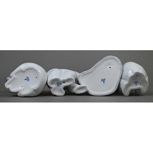 443 - Four boxed Lladro polar bears 1207, 1208, 1209 and 5434, to/w four dogs 6210, 6212, 6832 and 8170 (8... 