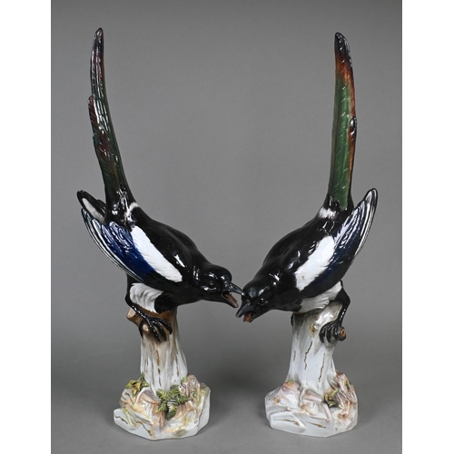 460 - A pair of Meissen life-size magpies perched on woody stumps, label for 'T. Goode & Co.', 53 cm h... 