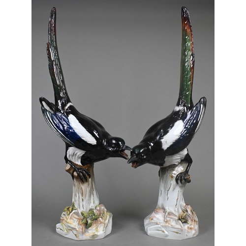 460 - A pair of Meissen life-size magpies perched on woody stumps, label for 'T. Goode & Co.', 53 cm h... 