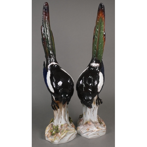 460 - A pair of Meissen life-size magpies perched on woody stumps, label for 'T. Goode & Co.', 53 cm h... 