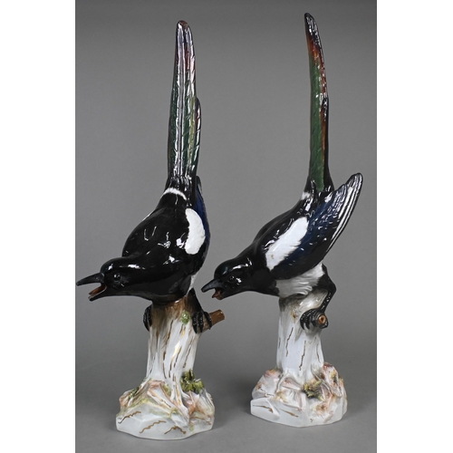 460 - A pair of Meissen life-size magpies perched on woody stumps, label for 'T. Goode & Co.', 53 cm h... 